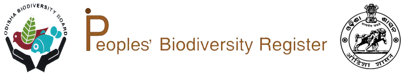 logo-pbr